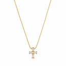 34010061